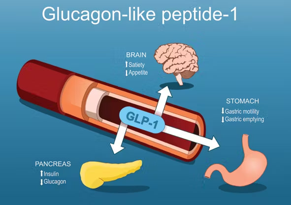 GLP-1 Medications and Weight Loss: How it works